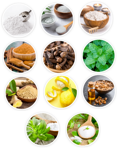 FortBite Ingredients