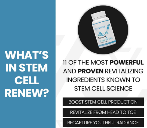 Stem Cell Renew 