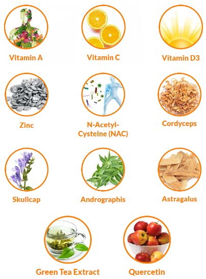 Immune 11X Ingredients