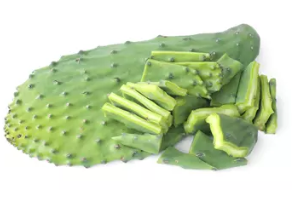 NOPAL POWDER