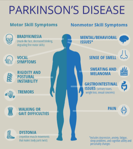 The Parkinson's Protocol Benefits