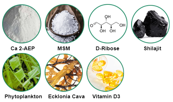 CellxRenewal ingredients