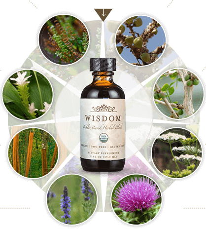 Wisdom Bible-Based Herbal Blend Ingredients