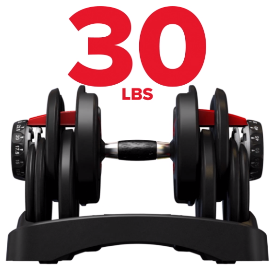 Bowflex Dumbbells Sale