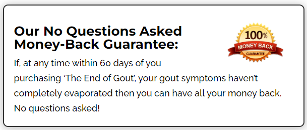 The End Of Gout PDF Download