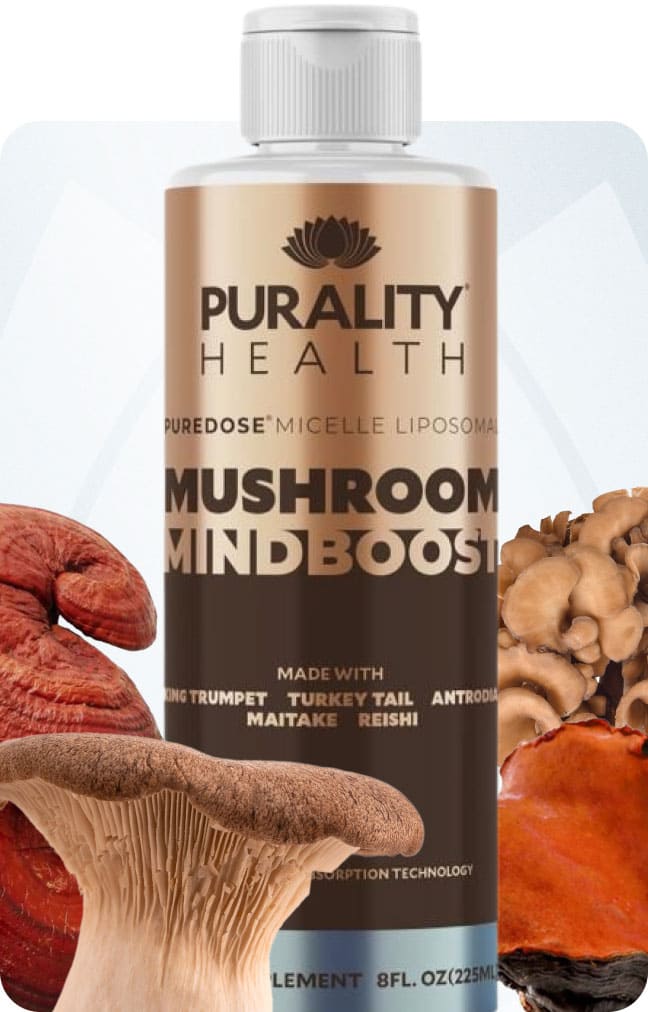 Mushroom MindBoost Reviews