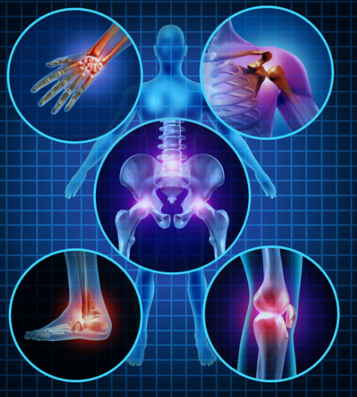 Joint Pain Protocol eBook