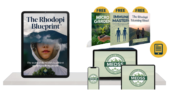 The Rhodopi BluePrint PDF Download