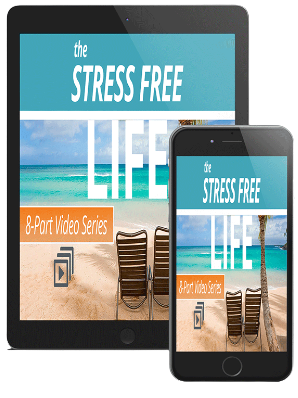 THE STRESS-FREE LIFE SYSTEM