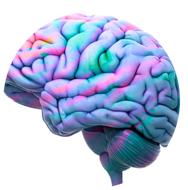 Neuro Brain Ingredients