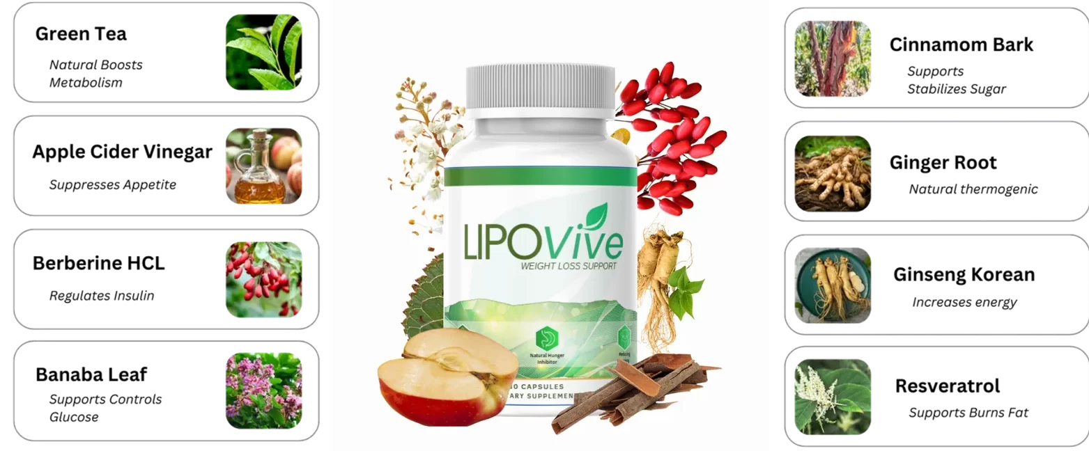 ingredients lipovive